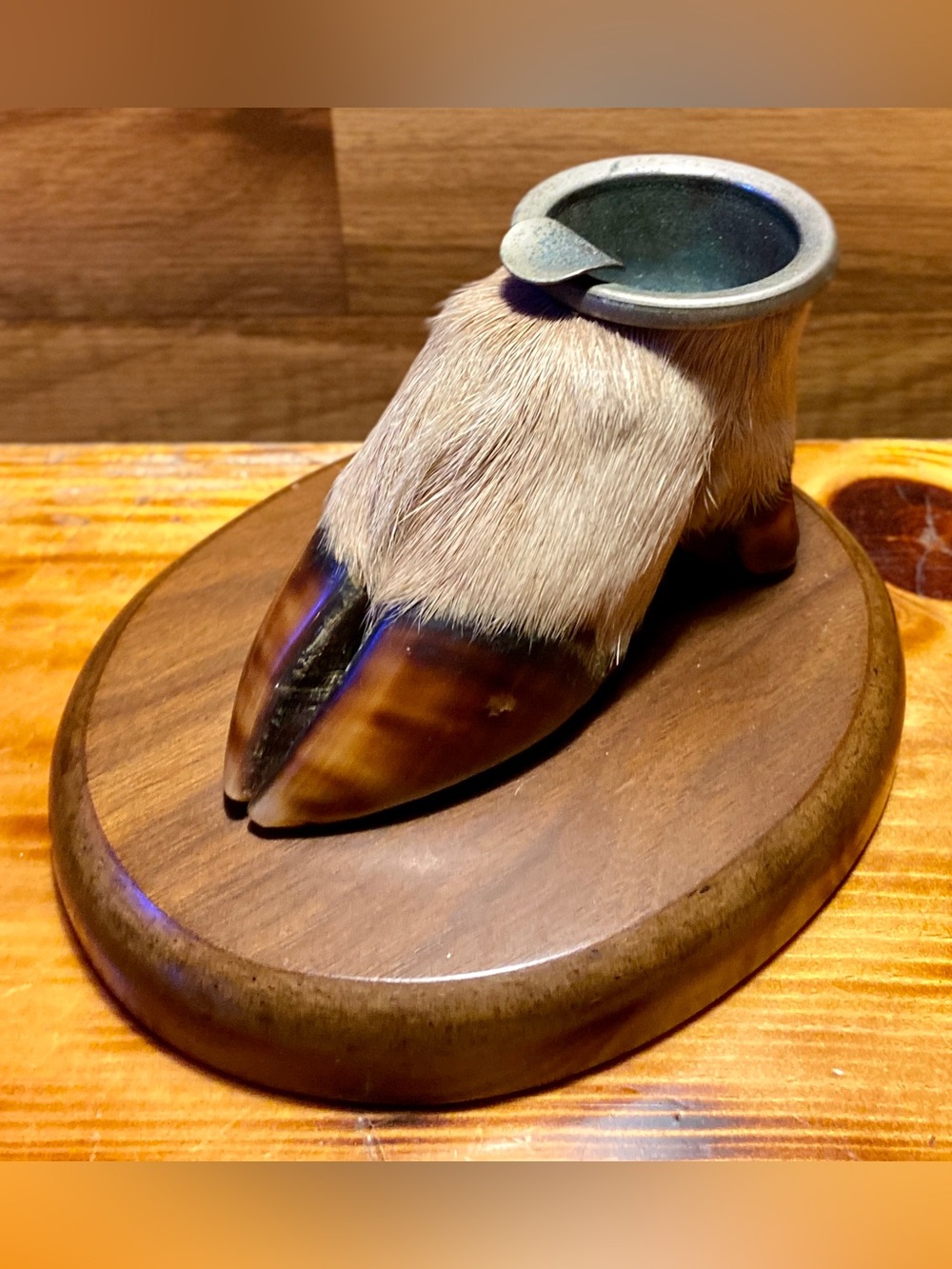 VINTAGE TAXIDERMY DEER HOOF ASHTRAY